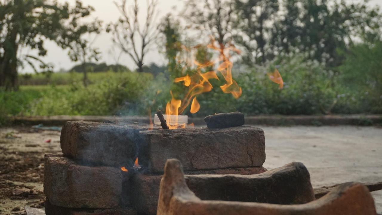 Sun N Soil Backpacker Hostel Lachhiwala Экстерьер фото