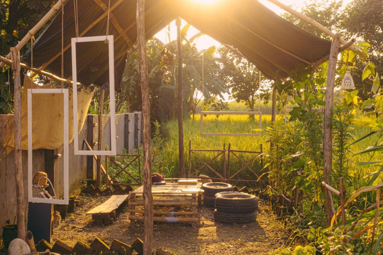 Sun N Soil Backpacker Hostel Lachhiwala Экстерьер фото